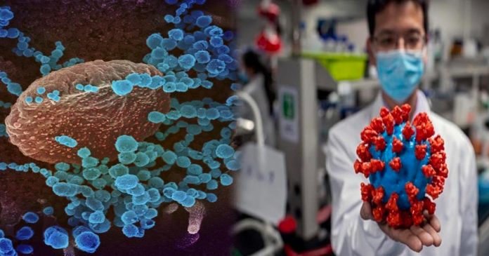 Các nhà khoa học tuyêп bố đã phát hiện ra điểm yếu của virus SARS-CoV-2